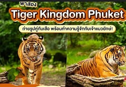 Tiger Park